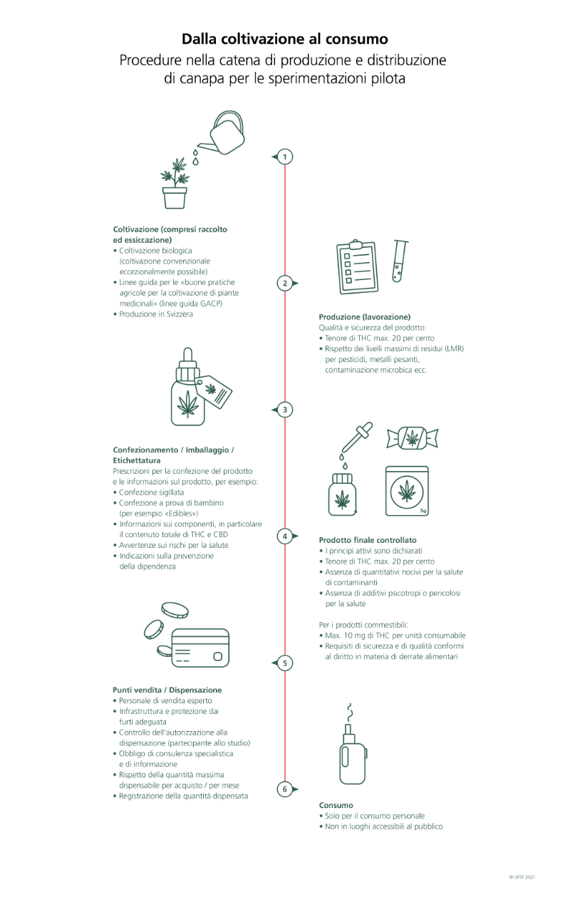 Procedure dalla coltivazione al consumo di prodotti di canapa: 1. coltivazione, 2. produzione, 3. imballaggio, 4. Prodotto finale controllato, 5. punti vendita/dispensazione, 6. consumo